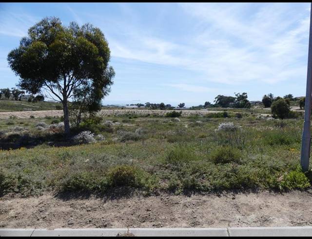 LAND FOR SALE IN ST HELENA VIEWS